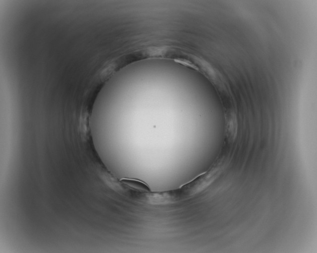 X0000111160525200907141404
