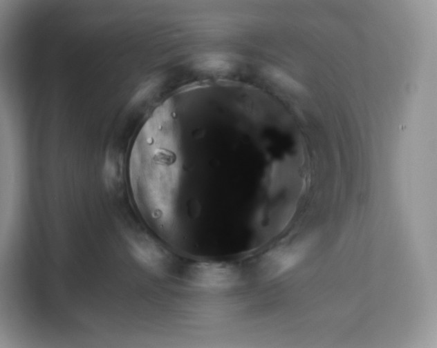 X0000111160528200907141404