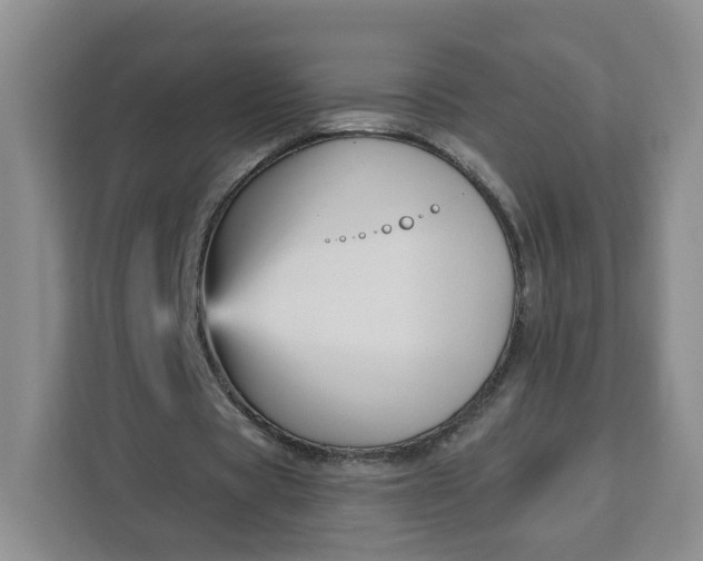 X0000111160529200907141403