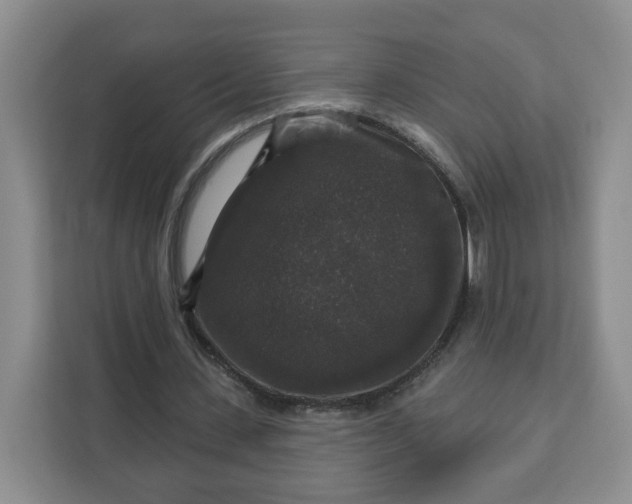 X0000111160531200907141403