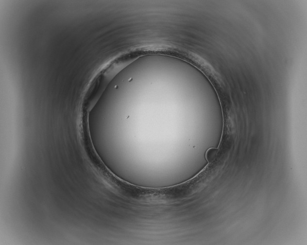 X0000111160535200907141403