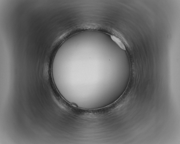X0000111160538200907141403