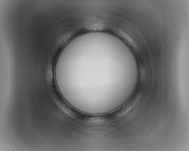 X0000111160541200907141403