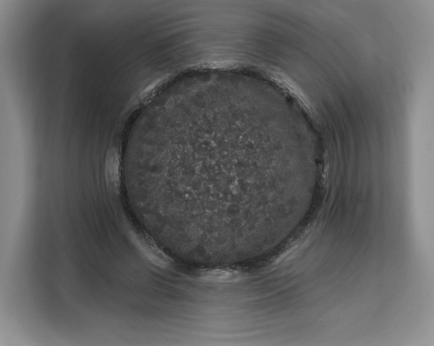X0000111160542200907141404