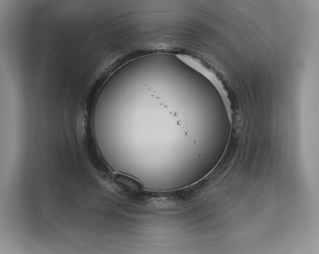 X0000111160544200907141404