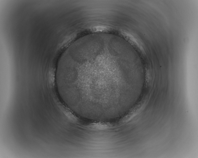 X0000111160545200907141404