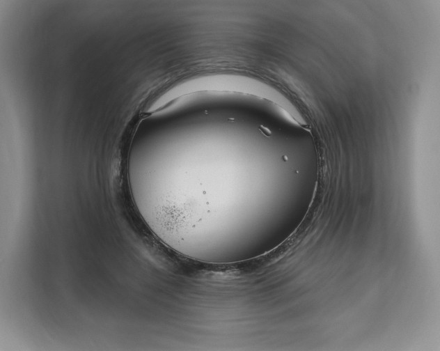 X0000111160548200907141404