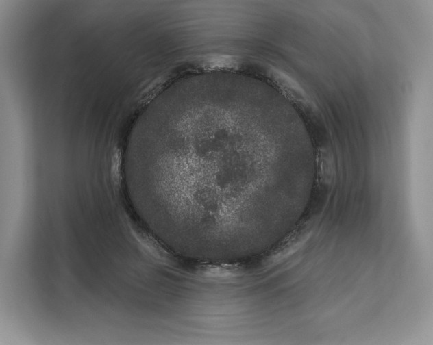 X0000111160550200907141404