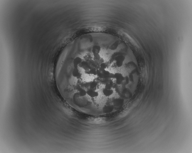 X0000111160553200907141404