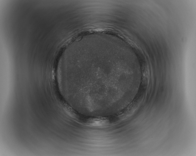 X0000111160555200907141404