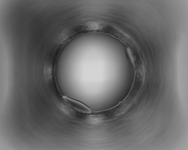 X0000111160556200907141404