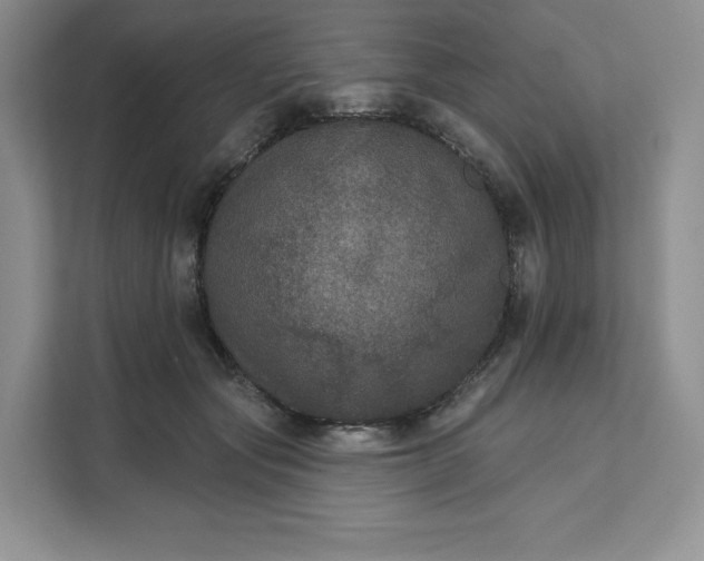 X0000111160557200907141404