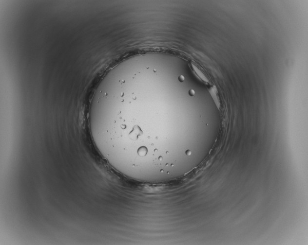 X0000111160560200907141404