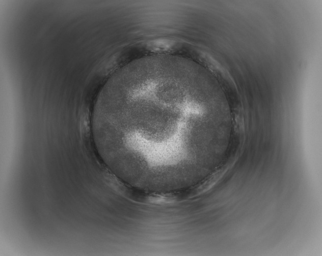 X0000111160561200907141404
