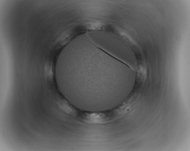 X0000111160566200907141404