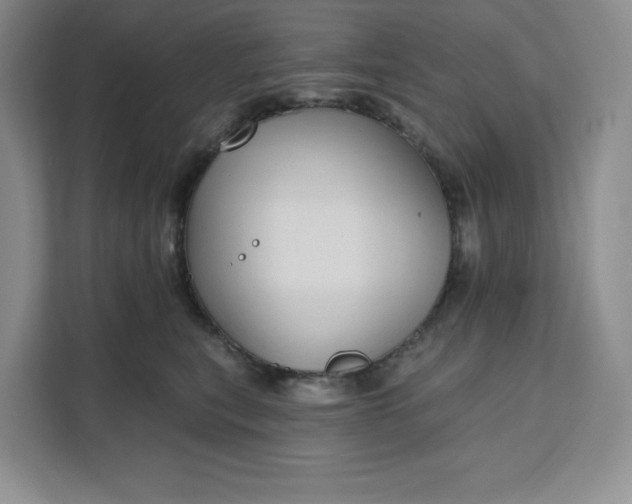 X0000111160567200907141404