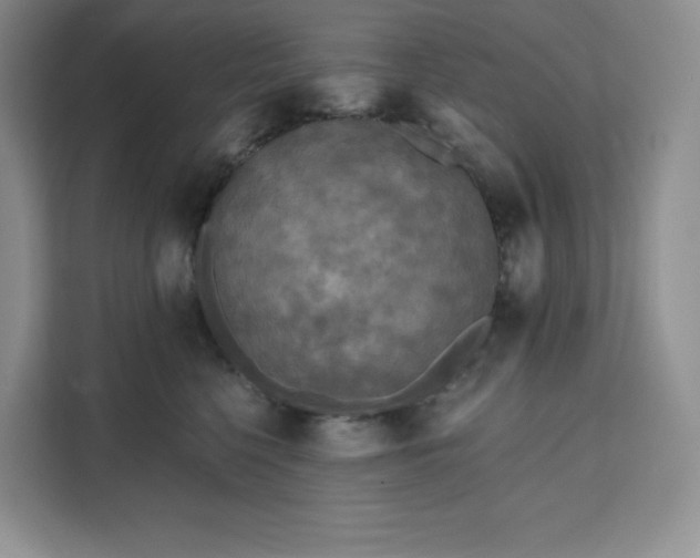 X0000111160568200907141404