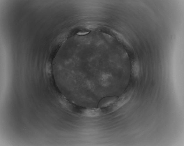 X0000111160571200907141404