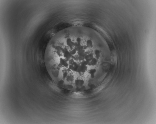 X0000111160573200907141404