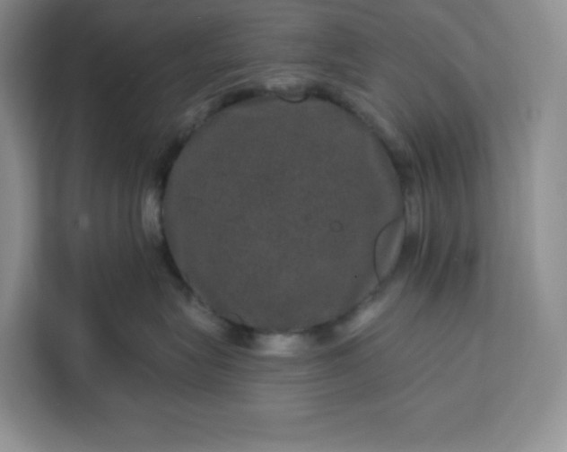 X0000111160575200907141404