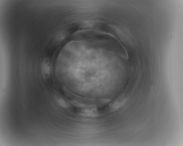 X0000111160576200907141404