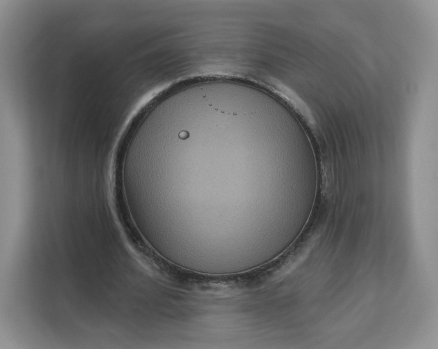 X0000111160580200907141403