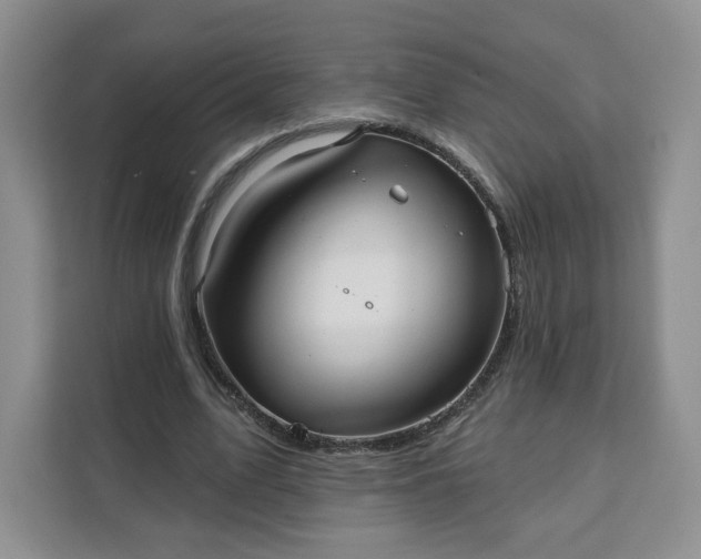 X0000111160583200907141403