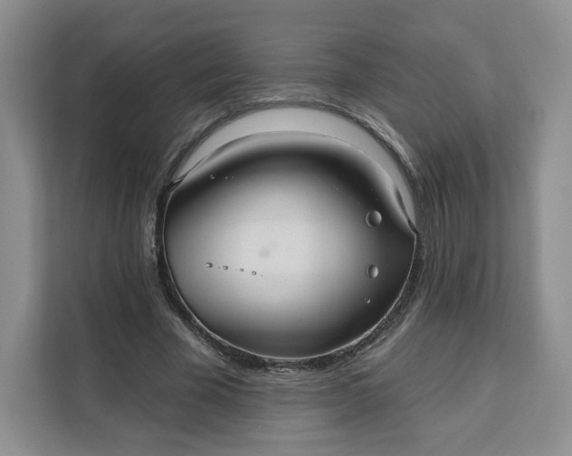 X0000111160585200907141403