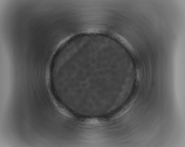 X0000111160588200907141403