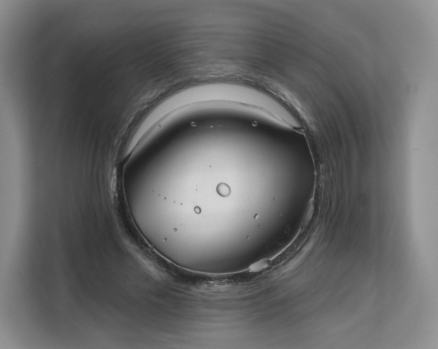 X0000111160589200907141403