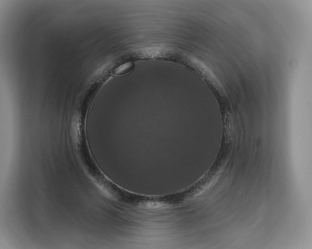 X0000111160590200907141403