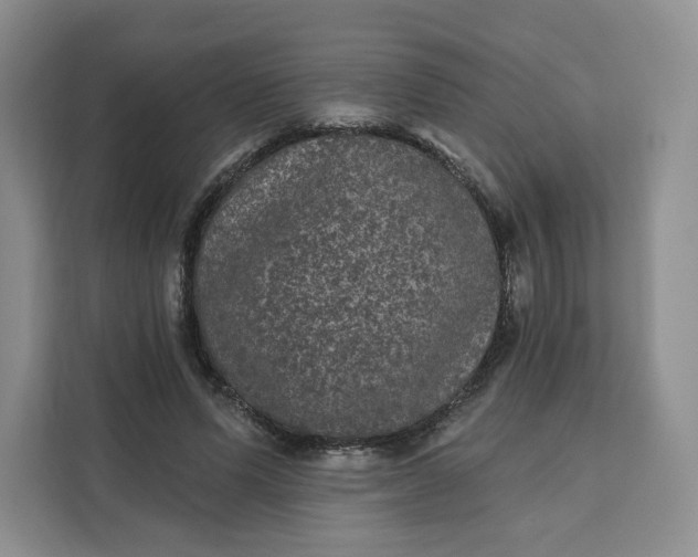 X0000111160591200907141403
