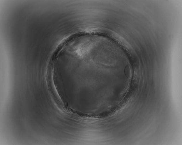 X0000111160592200907141403