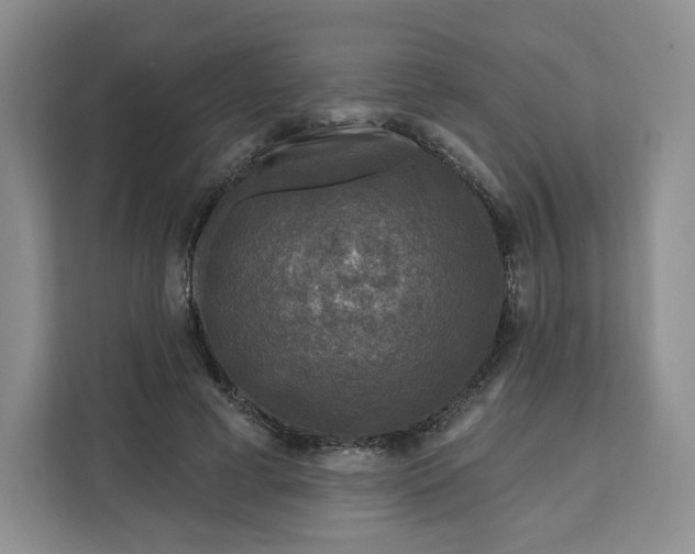 X0000111160593200907141403