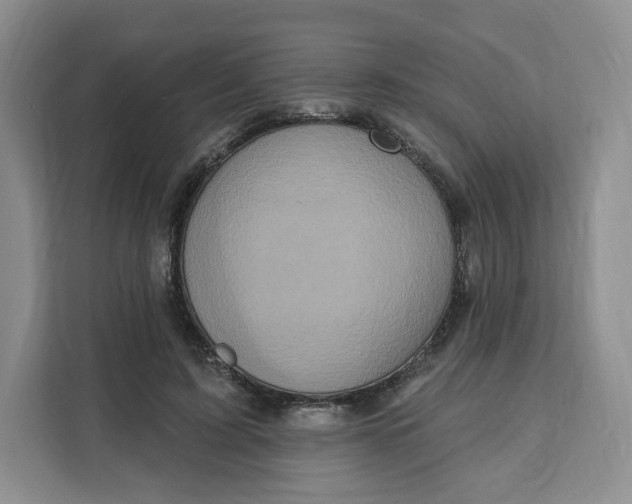 X0000111160595200907141403
