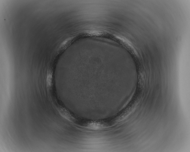 X0000111160596200907141403