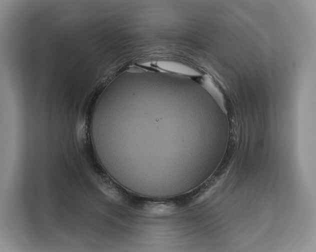 X0000111160597200907141403