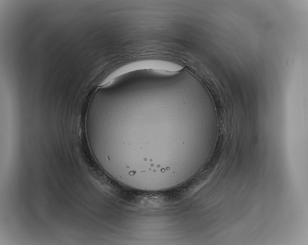 X0000111160599200907141403
