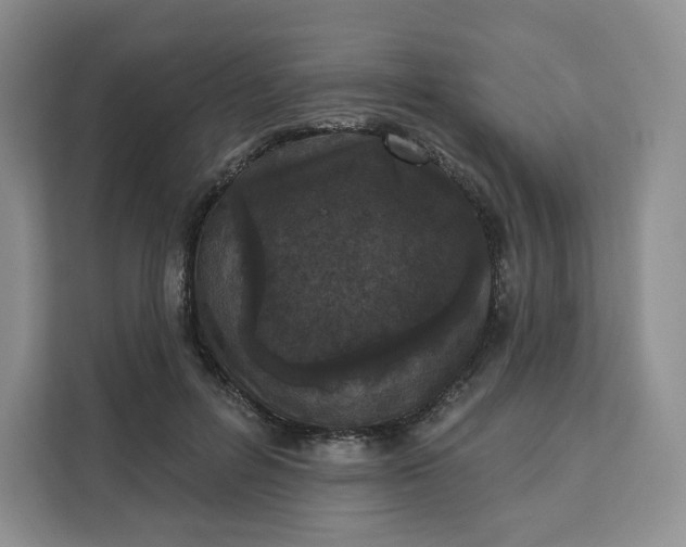 X0000111160600200907141403