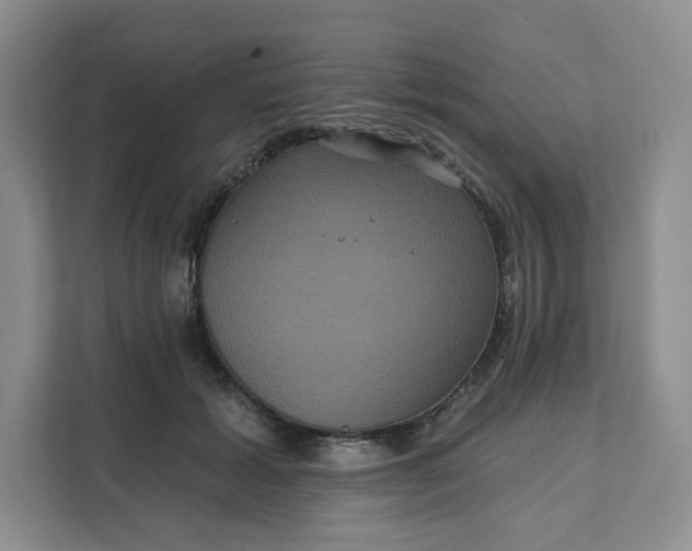 X0000111160605200907141403