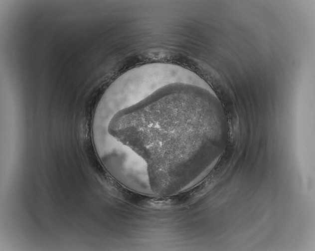 X0000111160606200907141403