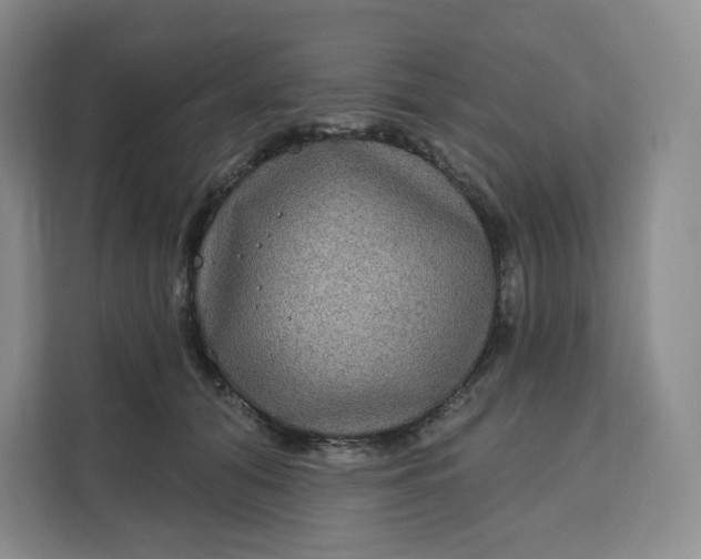 X0000111160608200907141403