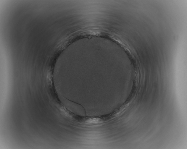 X0000111160609200907141403