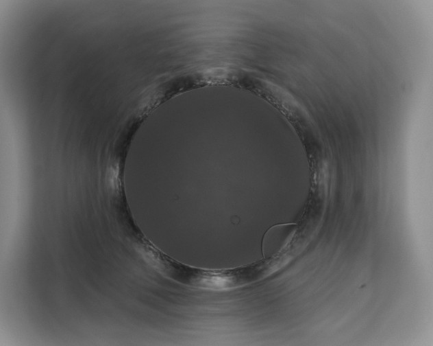 X0000111160610200907141403