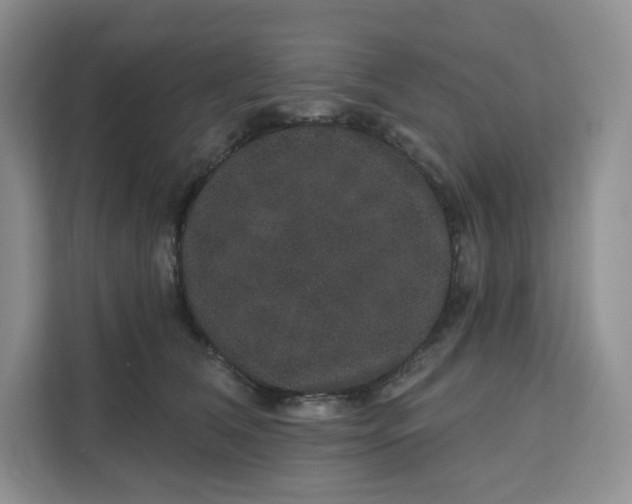 X0000111160612200907141403