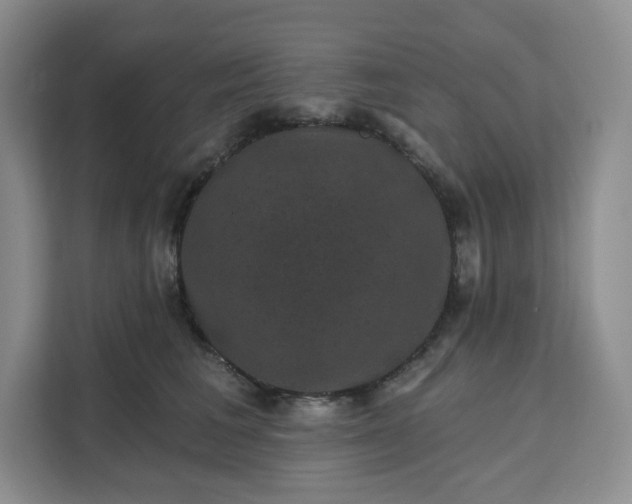 X0000111160613200907141403