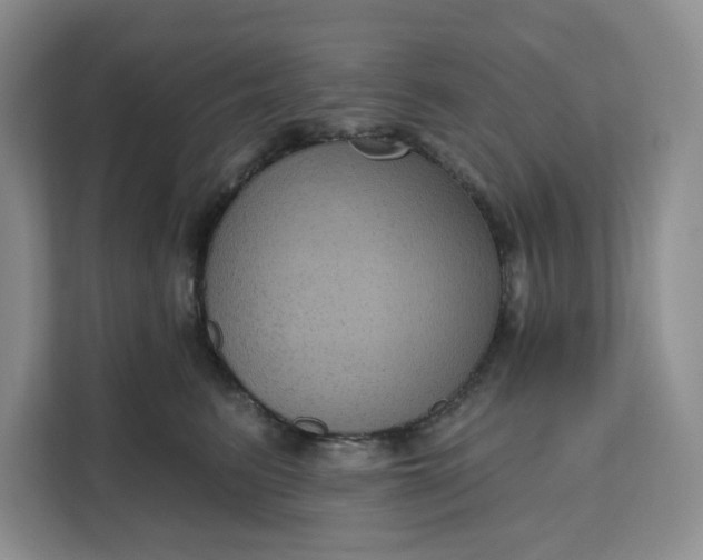 X0000111160615200907141403