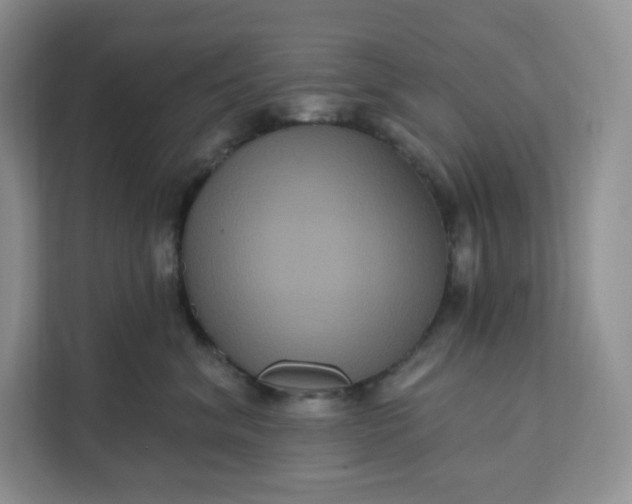 X0000111160620200907141403