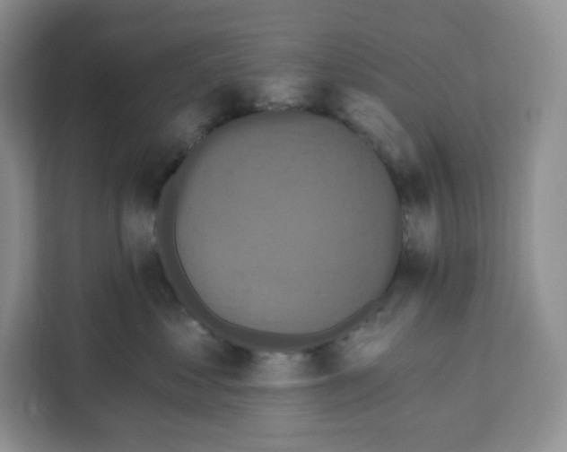 X0000111160621200907141403