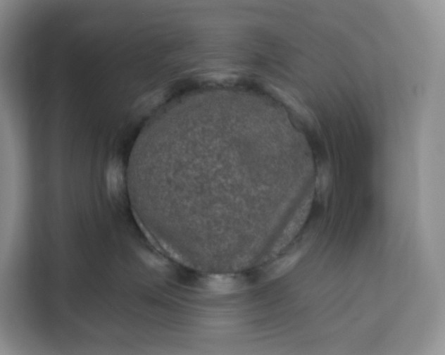 X0000111160623200907141403